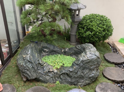 GSTC – KĐT ECOPARK